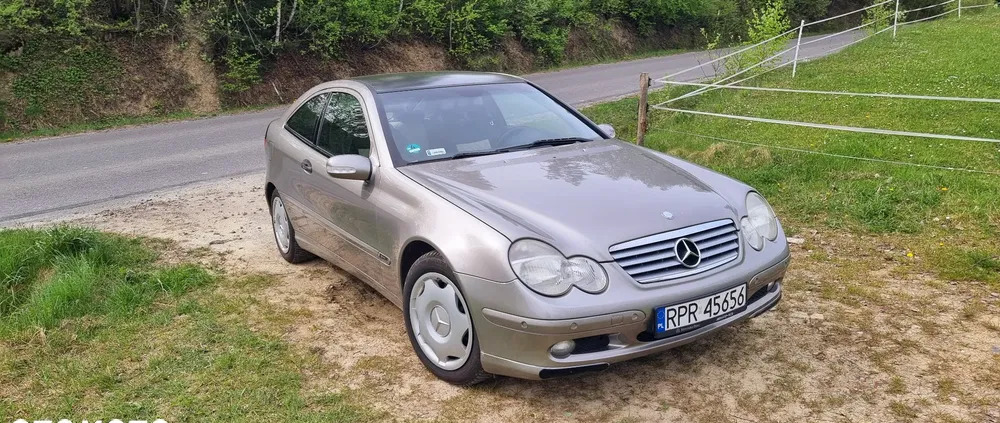mercedes benz klasa c radomsko Mercedes-Benz Klasa C cena 14900 przebieg: 175500, rok produkcji 2003 z Radomsko